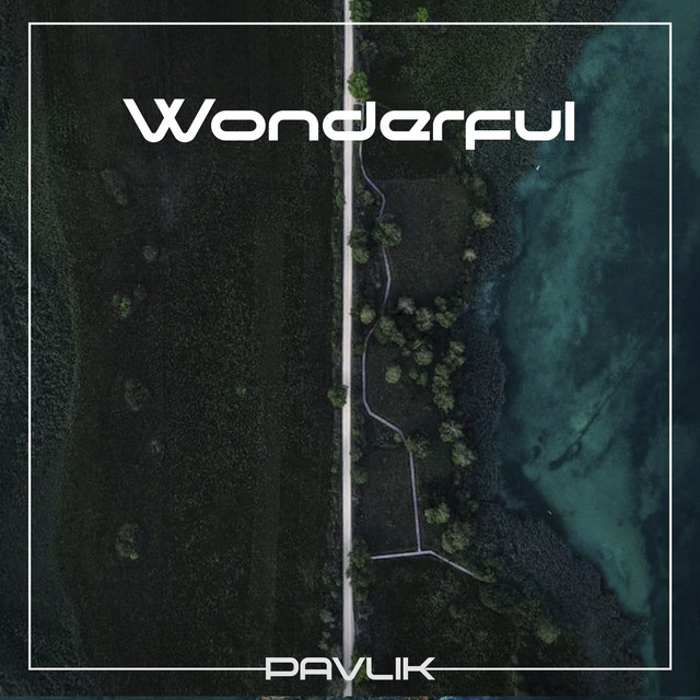 Обкладинка: Wonderful — Pavlik