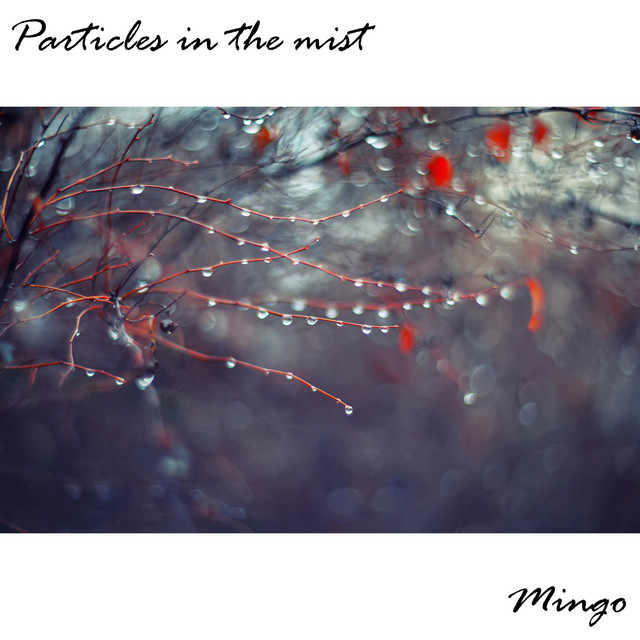 Particles In The Mist cover art