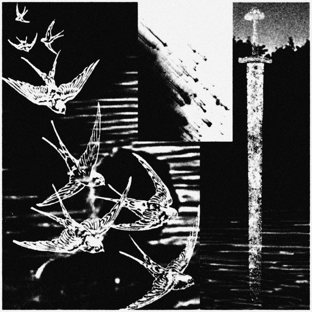 swallow/stardust cover art