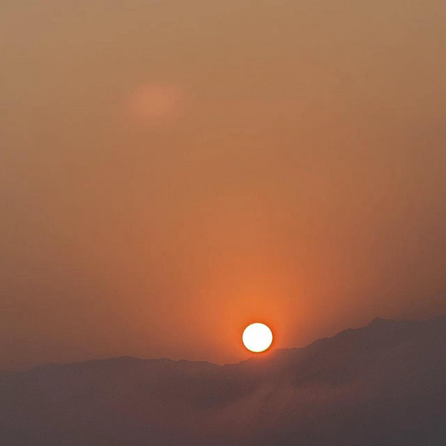 自诉