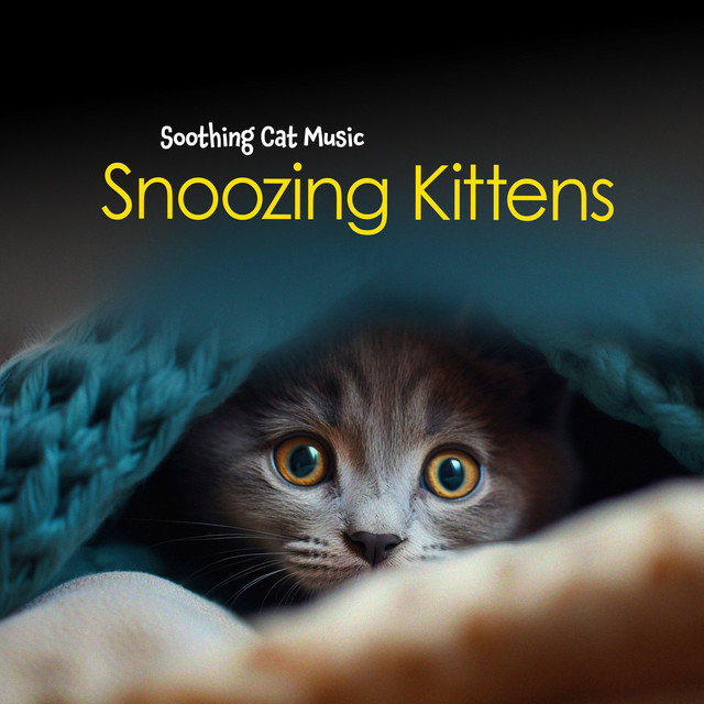 Snoozing Kittens cover art