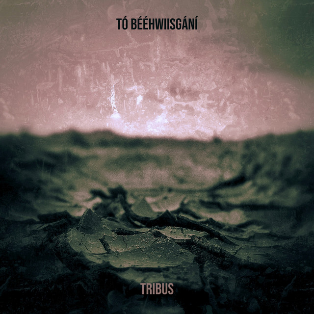 Tribus