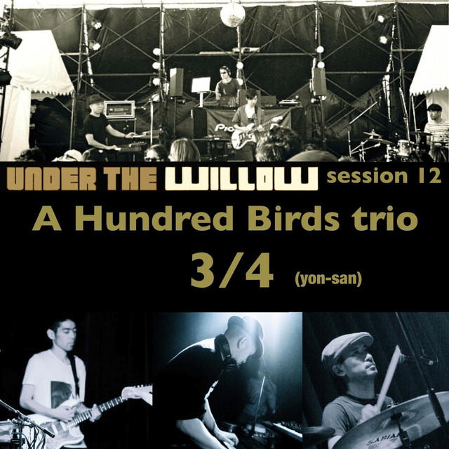 A Hundred Birds Photo