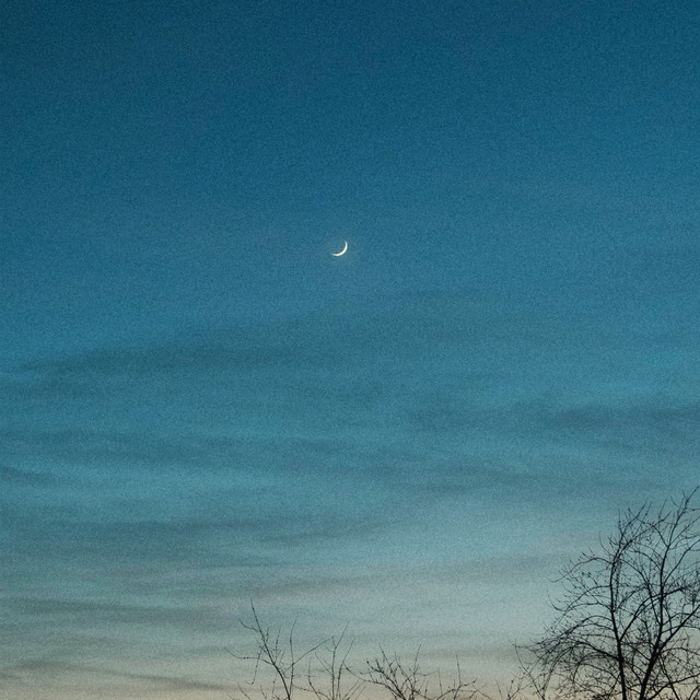 soft evening
