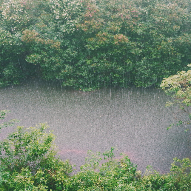 1 Hour Weather Sounds, Background Rain and Storm Noises, The Sound of Rain, Water Sound Effects and Loopable Spa Sounds, Awesome Rain Sounds cover art
