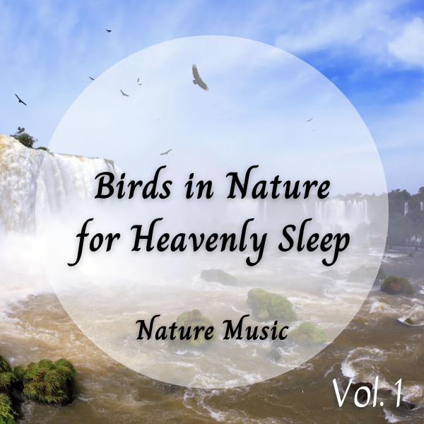 Meditation Music: Birds in Nature for Heavenly Sleep Vol. 1 cover art