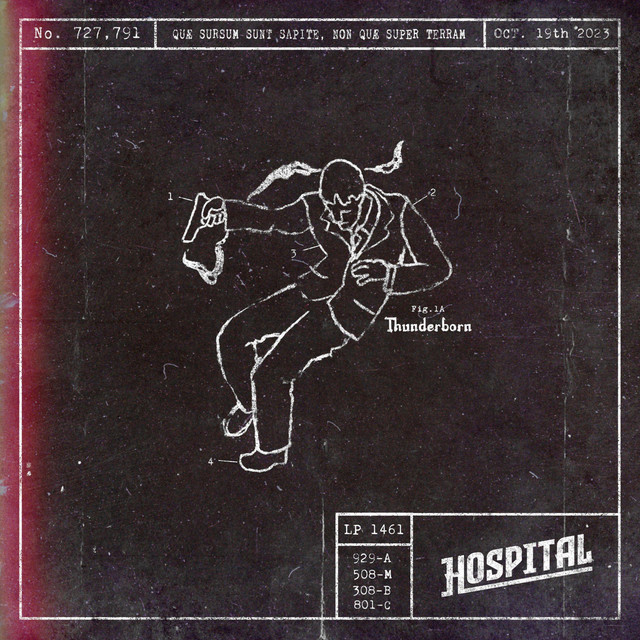 Thunderborn cover art