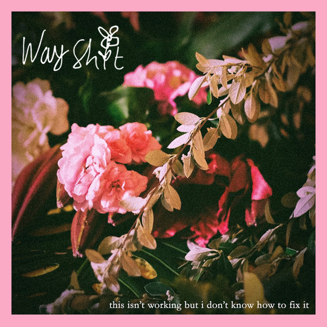 This Isn't Working But I Don't Know How To Fix It cover art