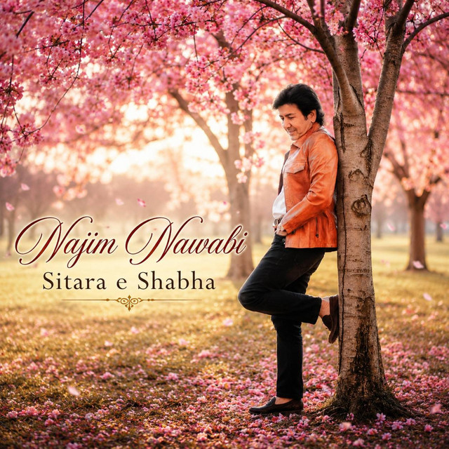 SITARA E SHABHA album image