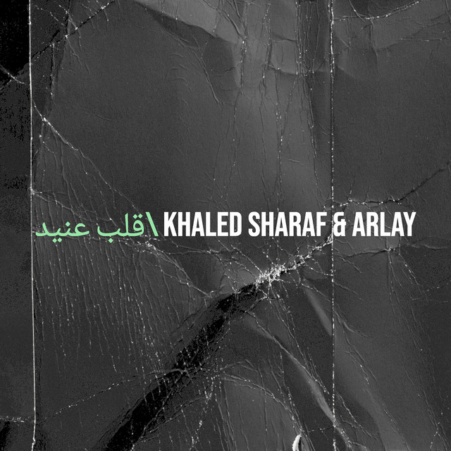 قلب عنيد\