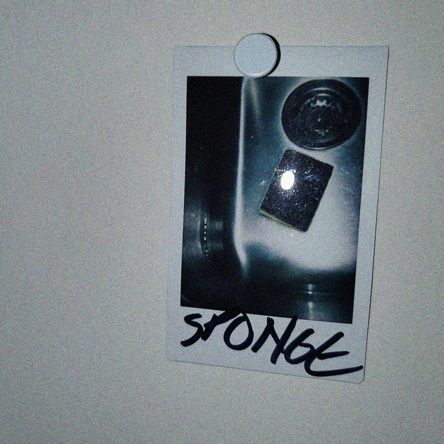 Sponge cover art