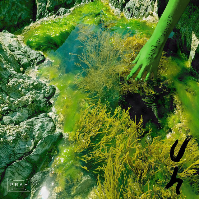 Seasick In Salts cover art