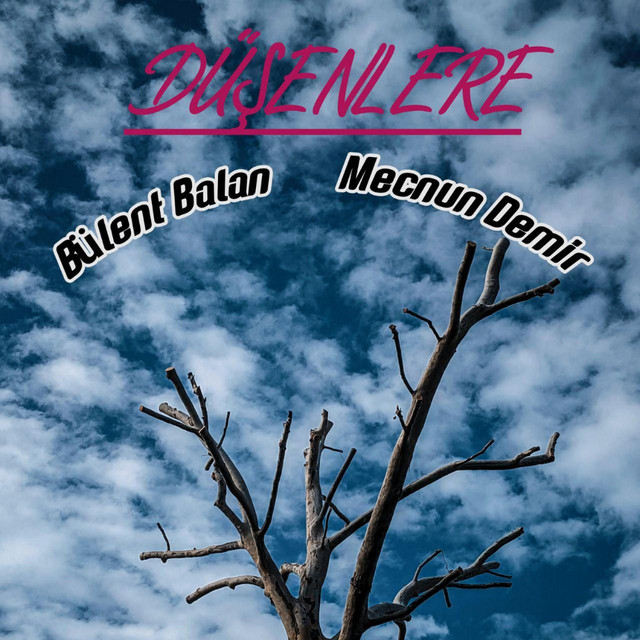 Düşenlere cover art
