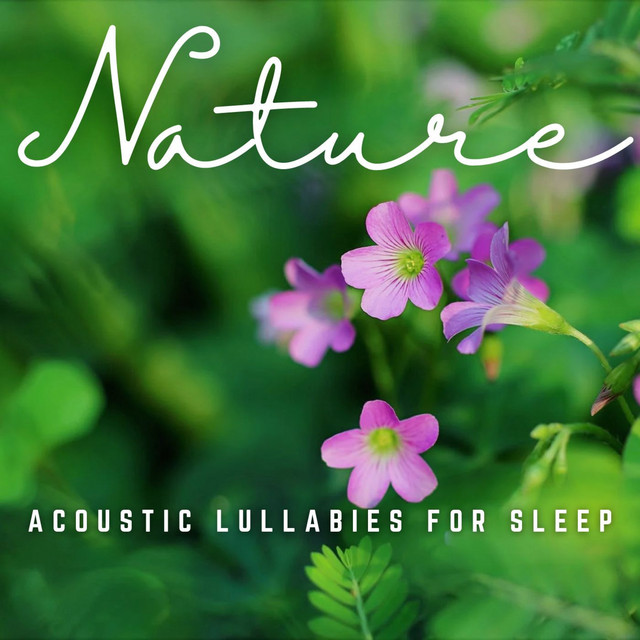 Soothing Slumbers: Acoustic Lullabies for Sleep - Album by Sleepy Times ...