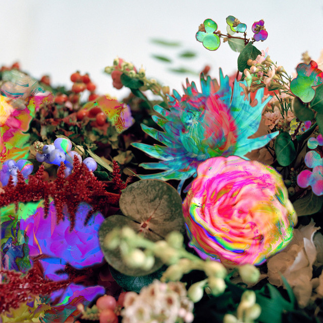 News From Nowhere cover art