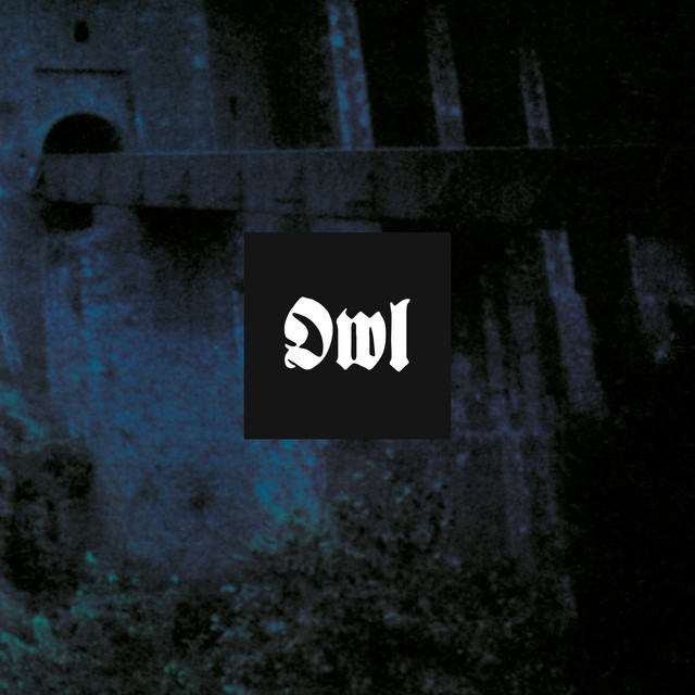 Owl (Deluxe) cover art