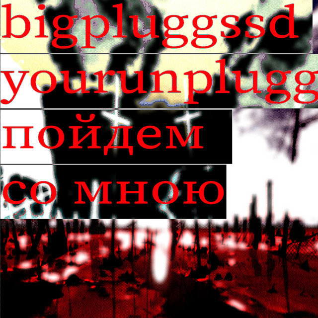 bigpluggssd
