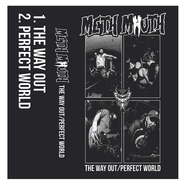 The Way Out/Perfect World cover