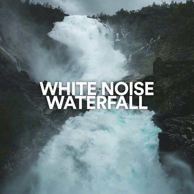 Radio Noiseville Photo