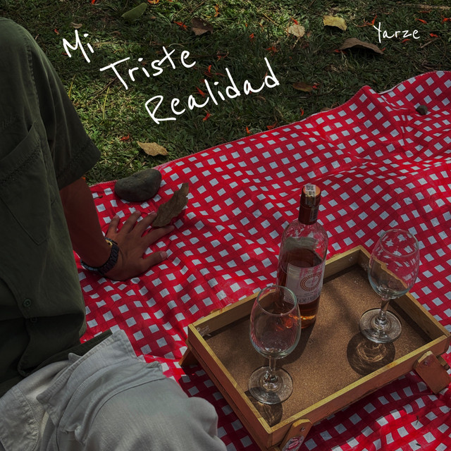 Mi Triste Realidad - Single by Yarze | Spotify