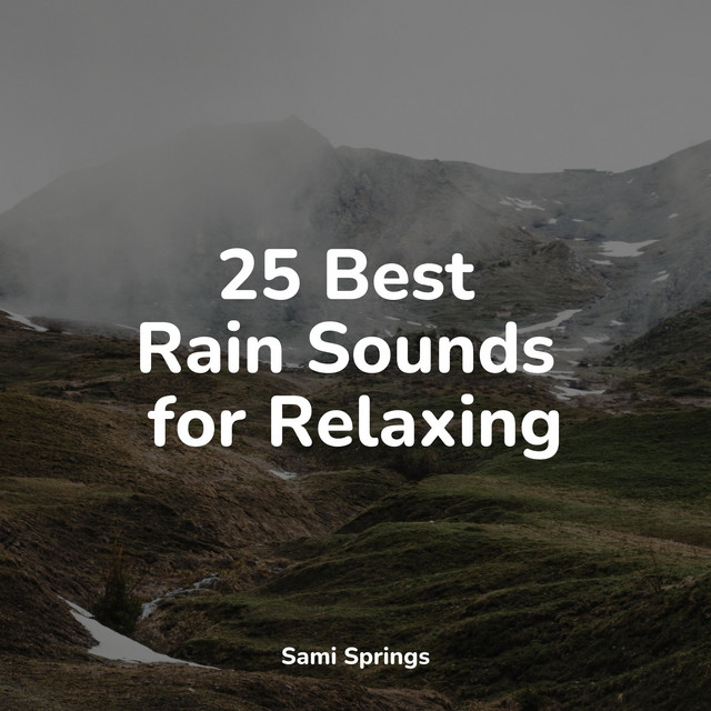 25 Best Rain Sounds for Relaxing - Album by Deep Sleep Music Academy ...