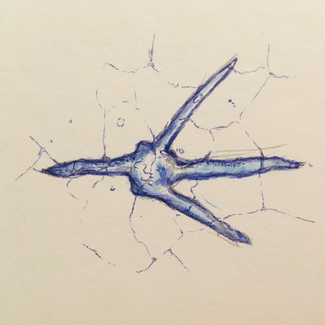 Quitaque cover art