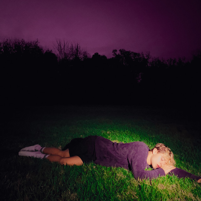 twilight cover art