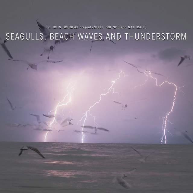 Seagulls, Beach Waves and Thunderstorm cover art