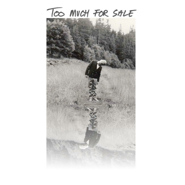 Too Much for Sale cover art