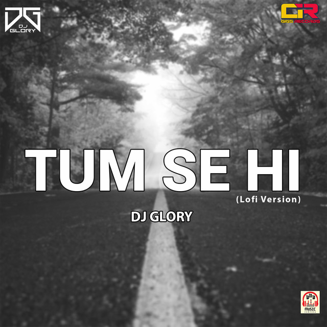Tum Se Hi - Lofi Version