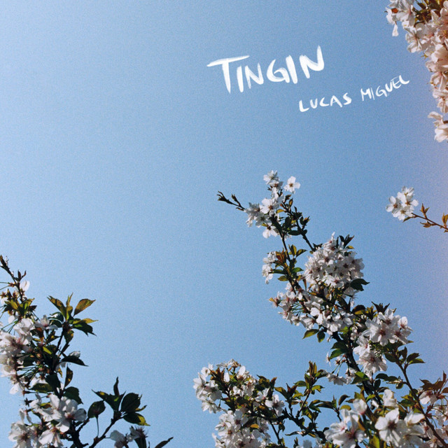 Tingin cover art