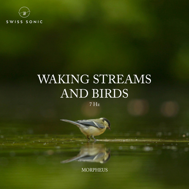 Waking Streams And Birds