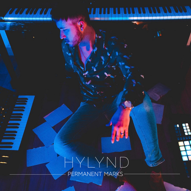 Permanent Marks cover art