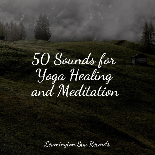 50 Sounds for Yoga Healing and Meditation - Album by Relaxamento | Spotify