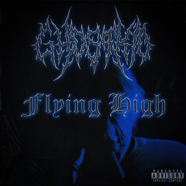 Flying High cover art