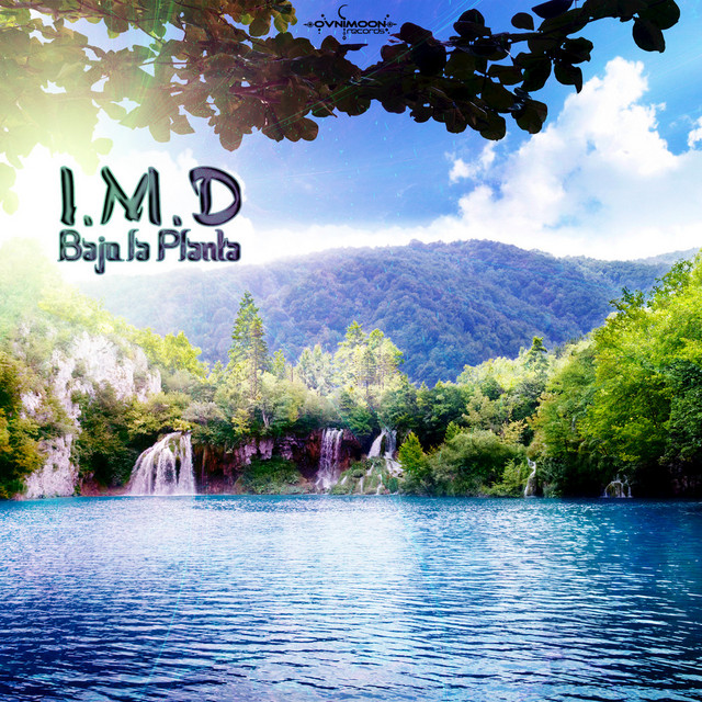 Bajo la Planta cover art