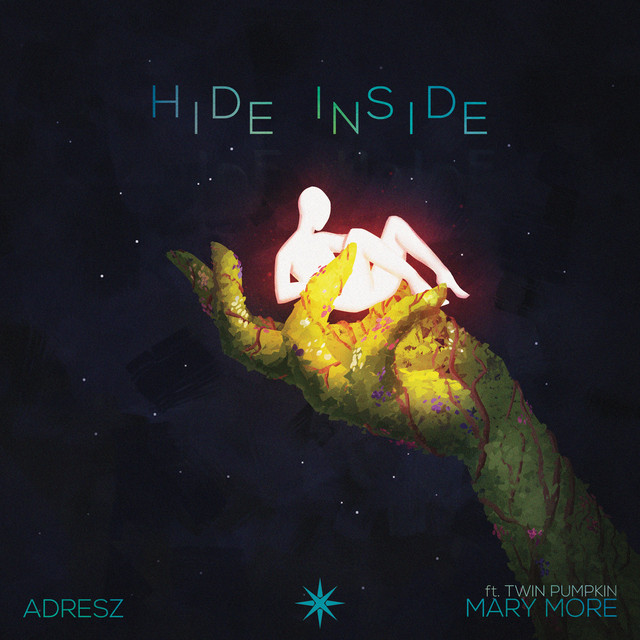 Hide Inside cover art