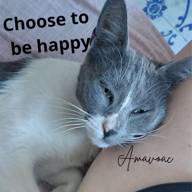 Choose to be happy cover art