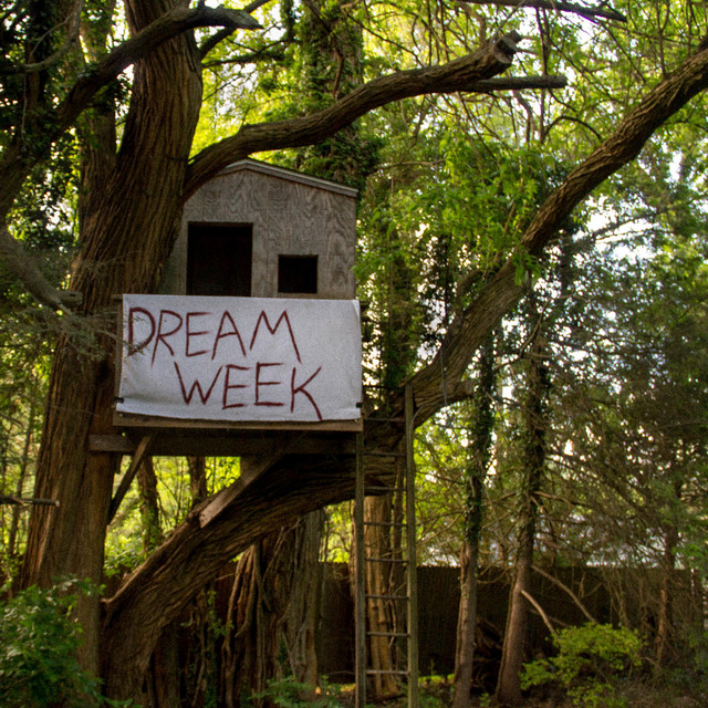 Dream Week cover art