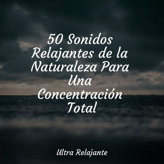 50 Sonidos Relajantes de la Naturaleza Para Una Concentración Total cover art