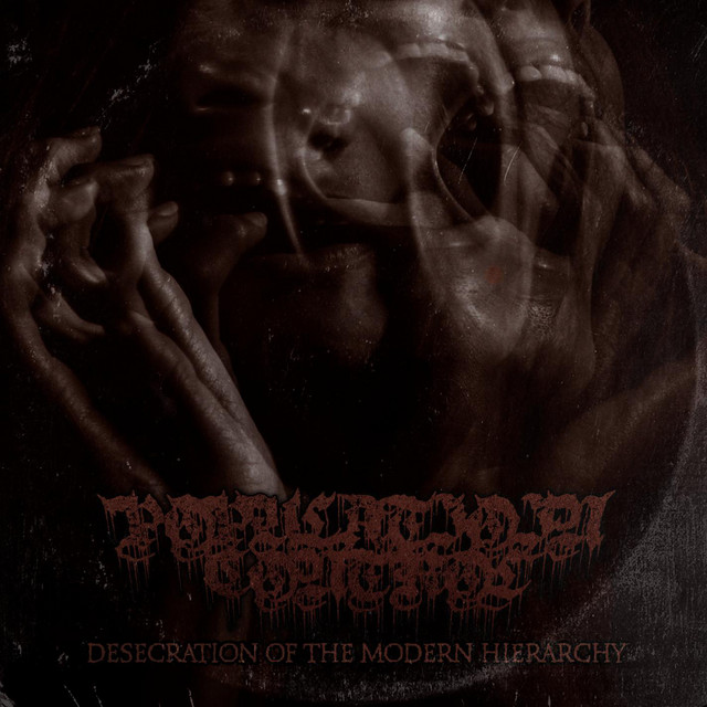 Desecration Of The Modern Hierarchy cover