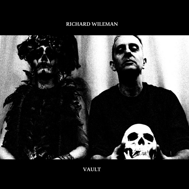 Vault cover art