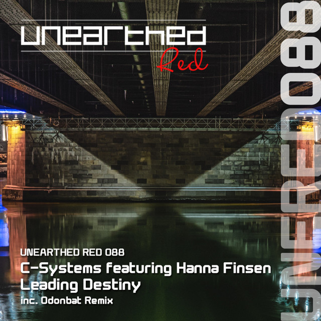 Leading Destiny cover art