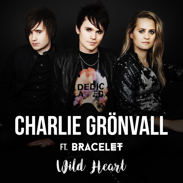 Wild Heart album image