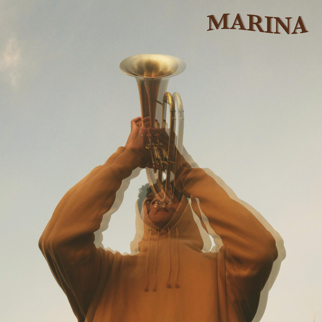 FLEX cover art