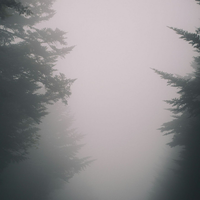 forgotten