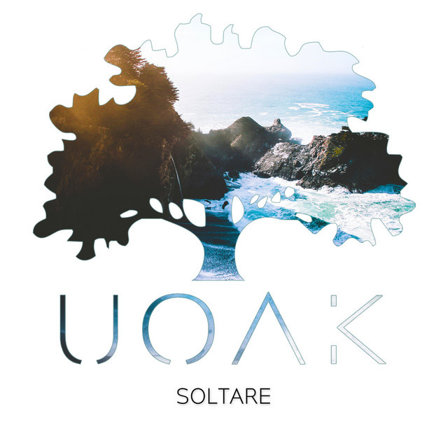 Soltare cover art