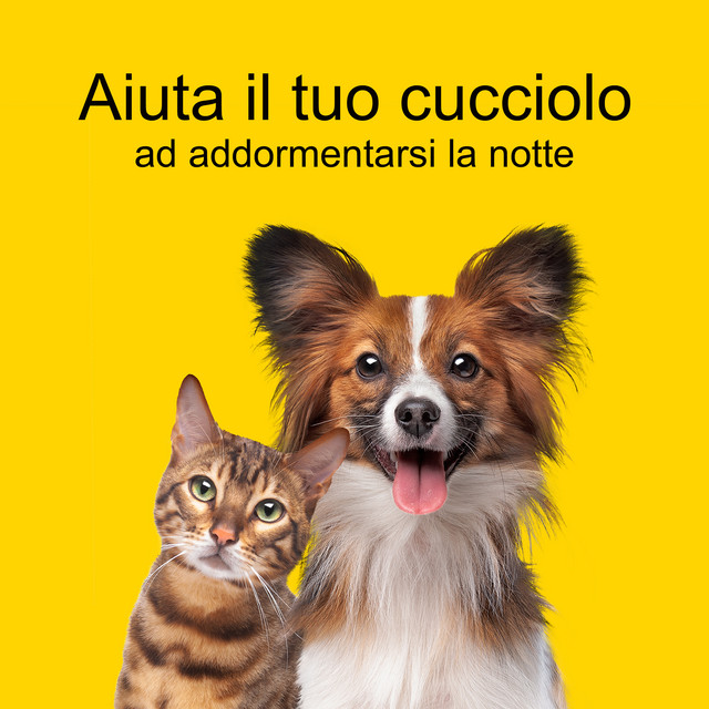 Aiuta il tuo cucciolo ad addormentarsi la notte cover art