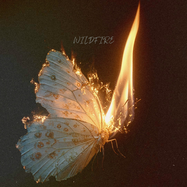 Wildfire