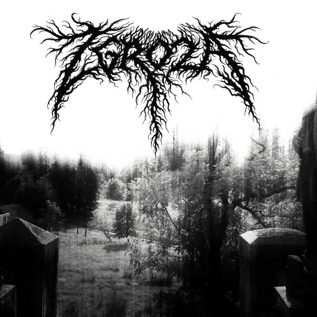 Demo cover